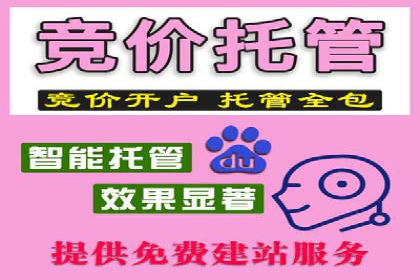 网站SEM托管优化案例：实现客户精准投放